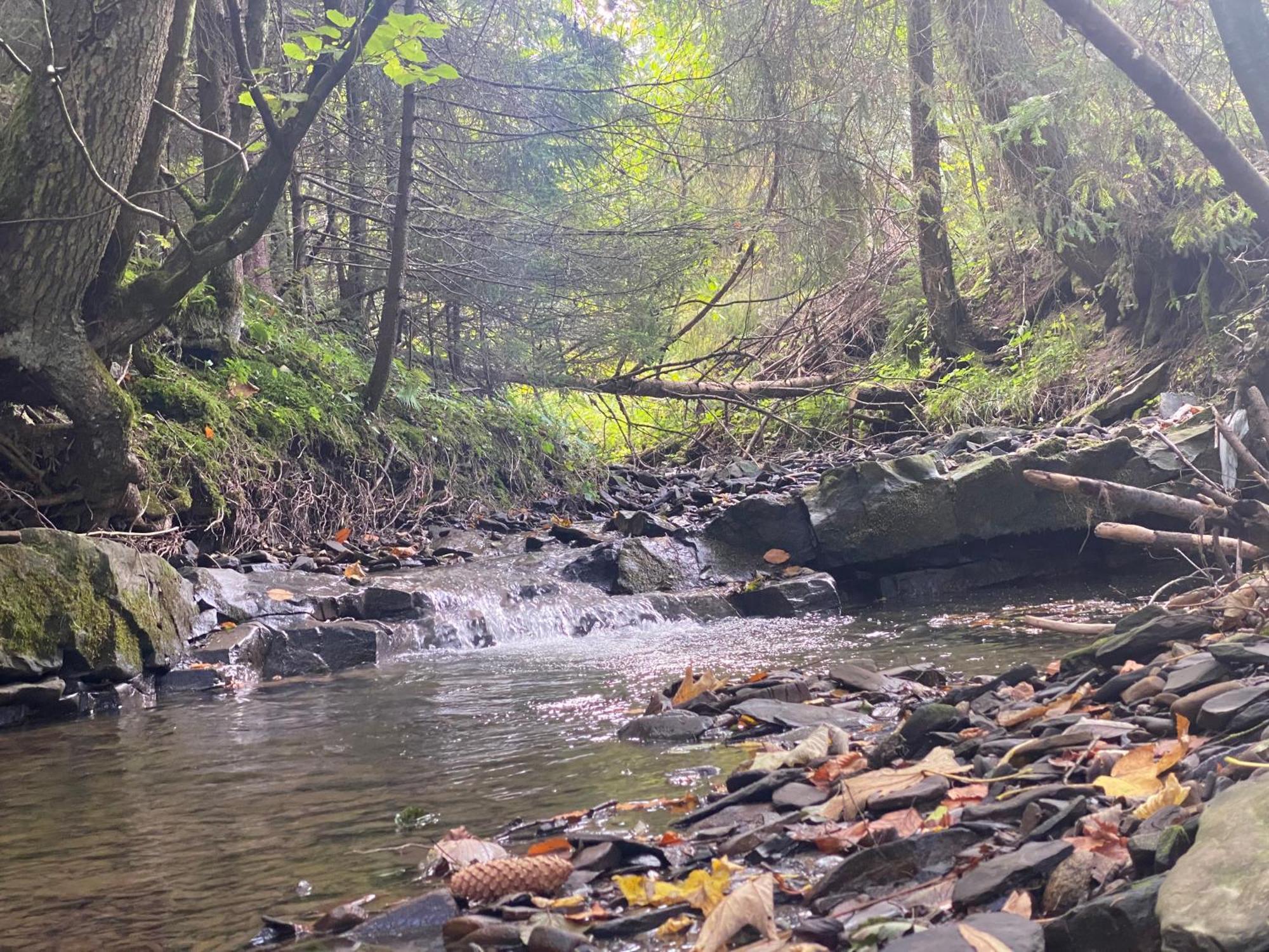 Domki I Pokoje Z Dostepem Do Spa Łapsze Niżne Exterior foto